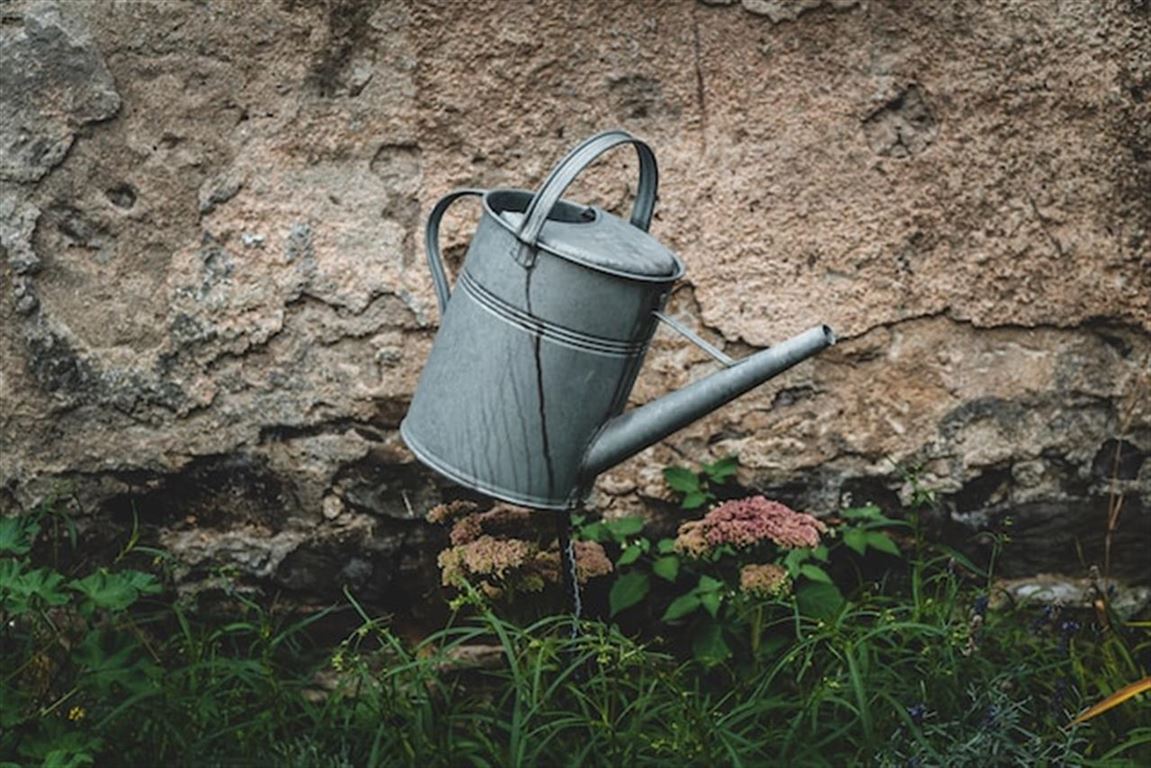 Vandkander: den perfekte partner til planternes trivsel