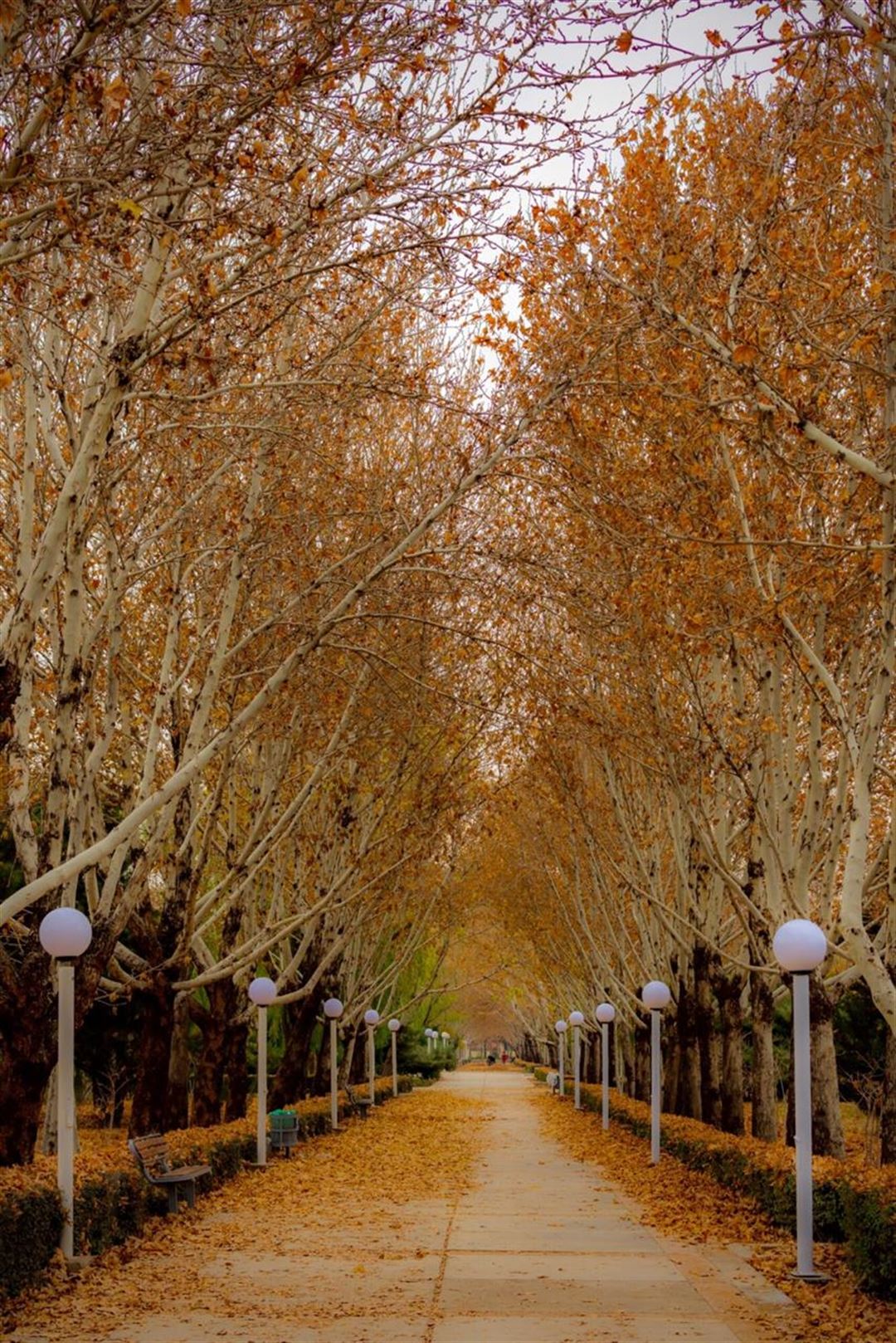 Solcellelamper – fantastisk udendørs belysning