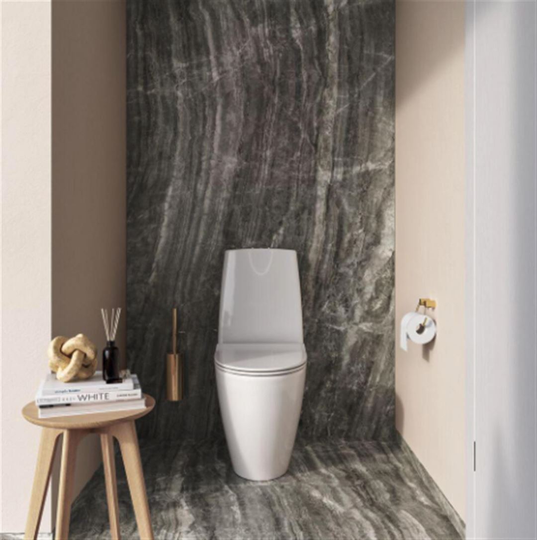 Alt du skal vide, før du vælger et nyt toilet