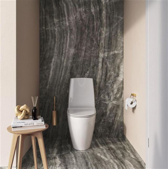 Alt du skal vide, før du vælger et nyt toilet