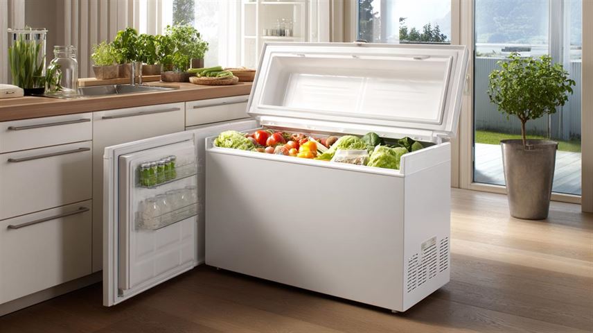 Forstå fordelene ved en gram kummefryser på 400 liter